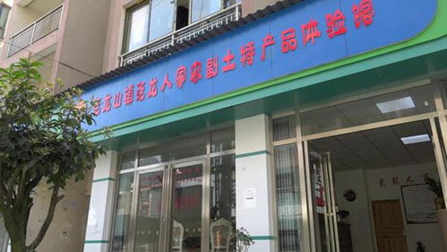 農村致富領頭人陳大全 農特產品深加工助推鄉村產業發展