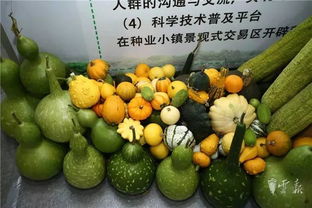 第十五屆昆明農博會開幕啦，快收下這份逛展攻略，周末約起！